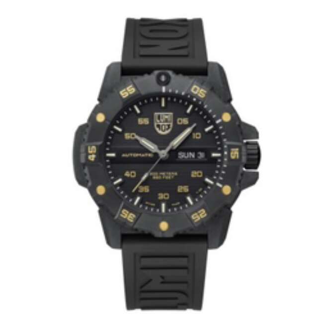 Luminox Master Carbon SEAL 45mm Black Dial (XS.3865.GOLD)